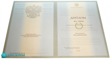 Диплом бакалавра 2004-2009 года 